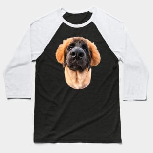 Leonberger Adorable Puppy Dog Baseball T-Shirt
